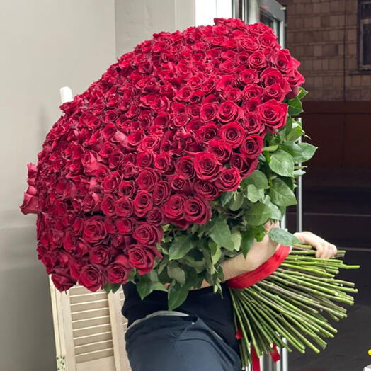 Ramo lujoso de 300 rosas rojas tamaño XXL