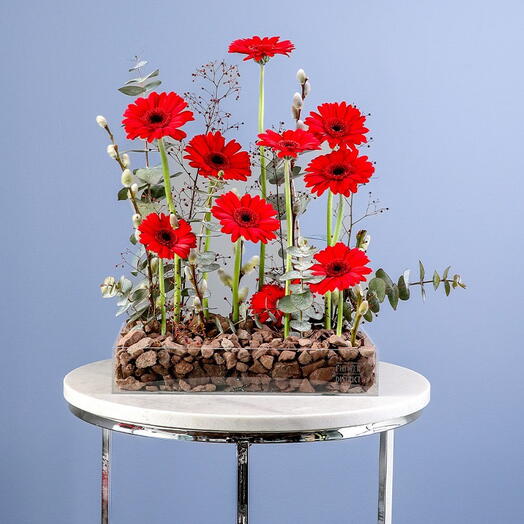 Joie de gérberas rouges