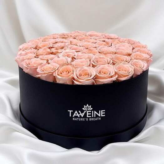 Luxury Peach Pink Roses