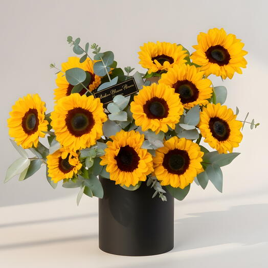 11 Sunflowers Black Box