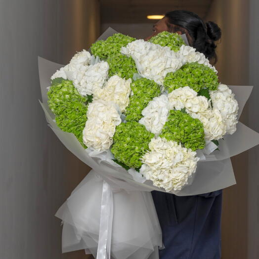 Bouquet de 21 hortensias blancs et verts-1583