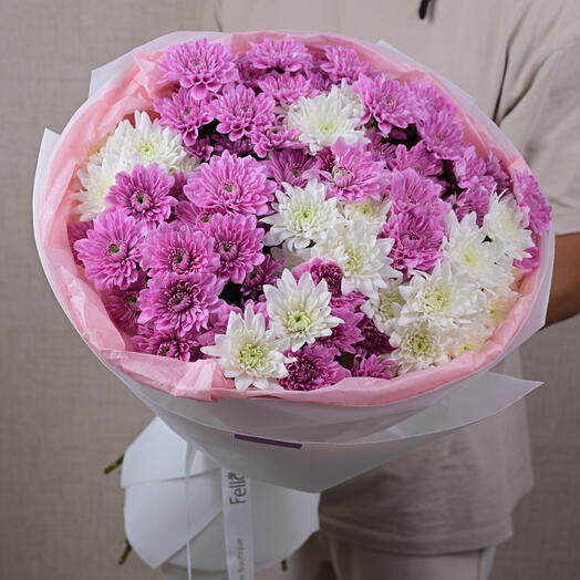 Фиолетовый кремовый Эхо-1675