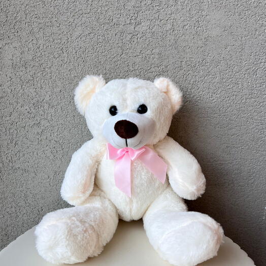 White Teddy Bear 2