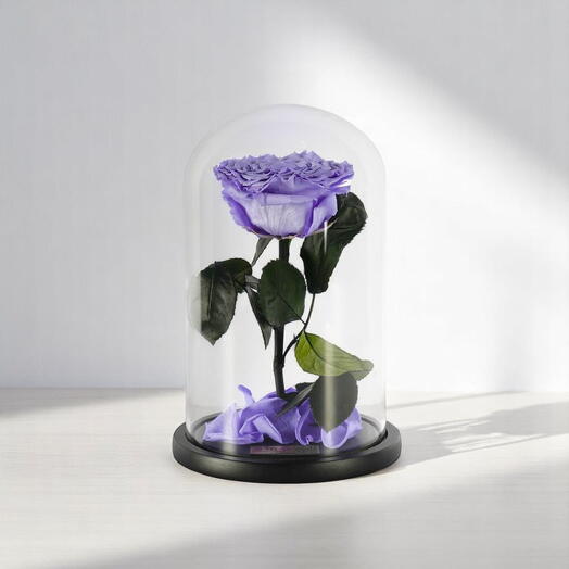 Фиолетовые стабилизированные розы в стеклянном куполе