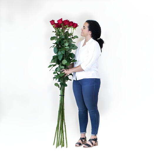 Extra Long Stem Roses