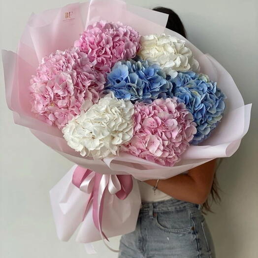 Lover Cloud -  large bouquet of hydrangeas