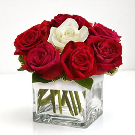 Roses d'amour espagnoles