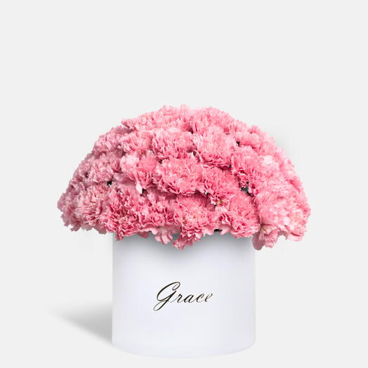 Розовая гвоздика в экстра-большой коробке