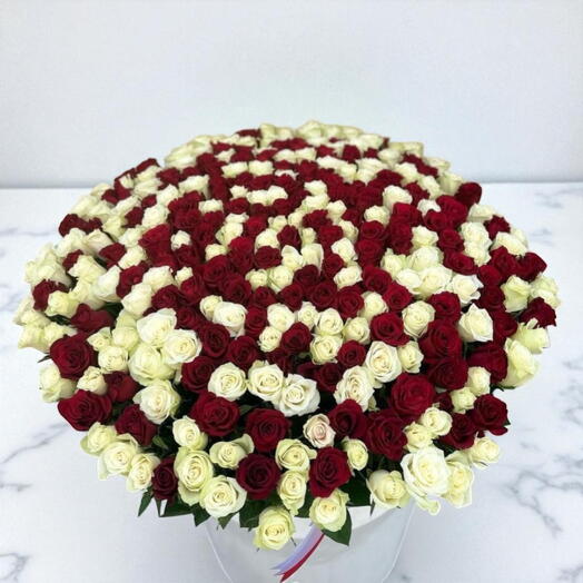300 Roses Basket