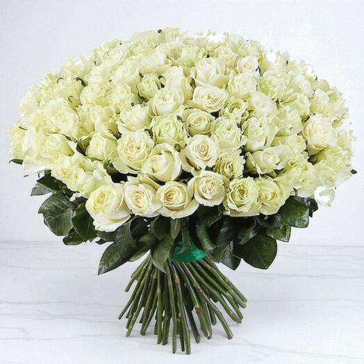 61 white roses