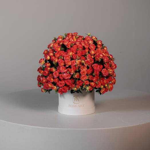 45 rosas spray naranjas