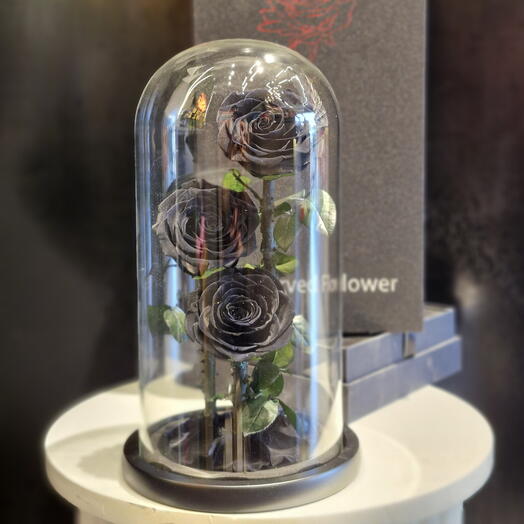 GLASS DOME- ETERNAL ROSES | BLACK 3 rose ( LARGE)