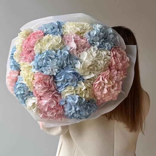 Rupenzel s Hydrangea Mix