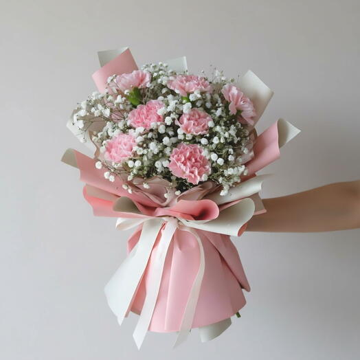 Blush Cloud Carnations