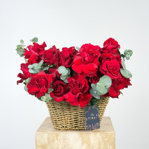 Алая гармония