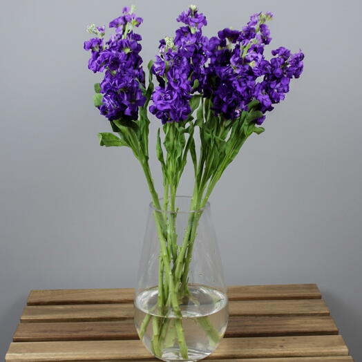 Blue Matthiola Vase 1125