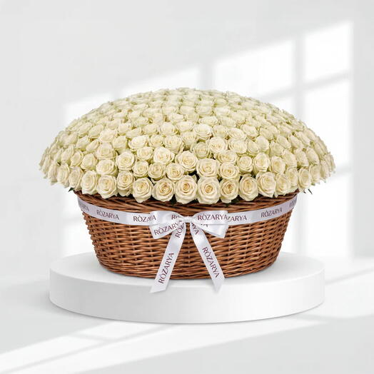 White Roses: The Grand Pearl