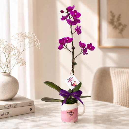Mother s Day Purple Orchid Plant Keepsake Mug Arrangement