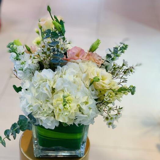 12*12 SQUAER   MIX FLOWW