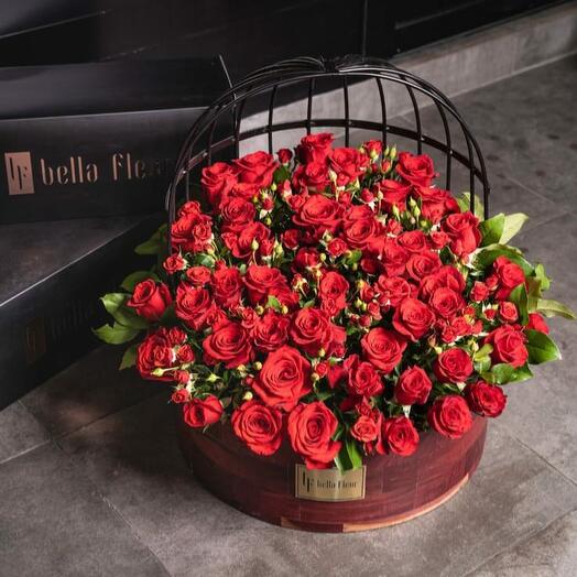 Large Bird cage mix red