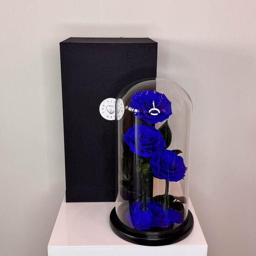 Forever Rose Dark Blue (3 stems)