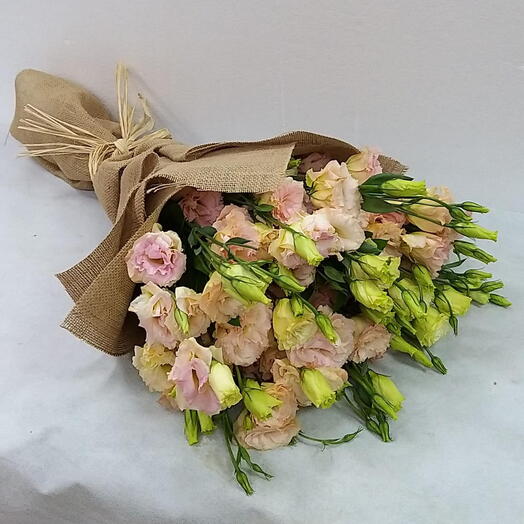 Sinfonía Sueño de Albaricoque: 20 tallos de flores Stoma