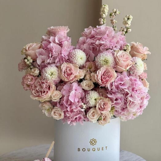 Box like a ice cream 🍨