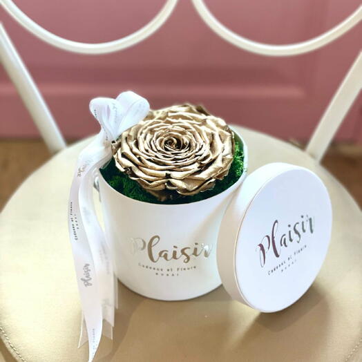 XL золотая консервированная роза в белой коробке