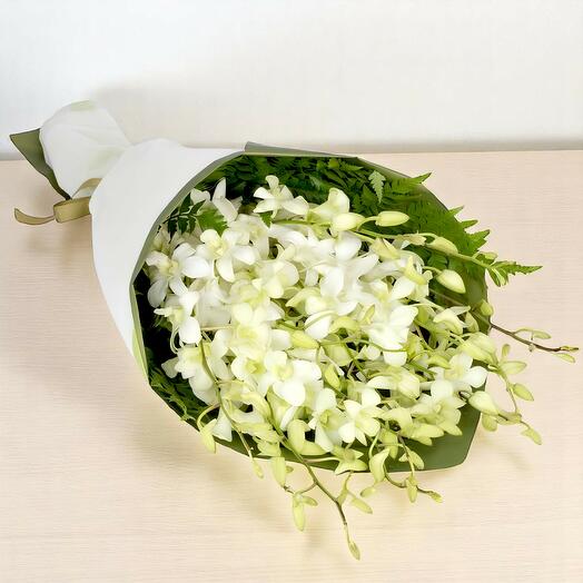 White Orchids Bunch