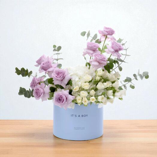 Lavender   Light Baby Boy Box