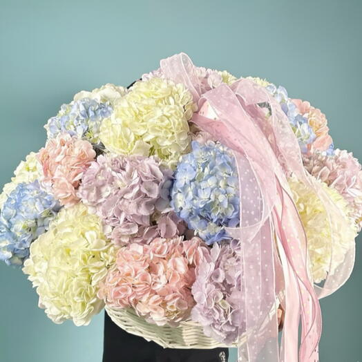 21 Mix Hydrangea Basket