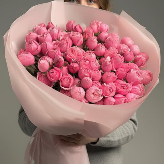 Roses de jardin premium "Silva Pink"