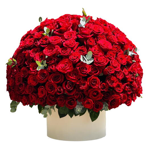 Classic Valentine 201 Red Roses Box