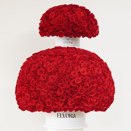 1000 красных роз — купол алого и слоновой кости