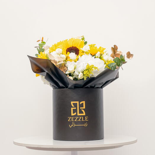 Вечное сияние