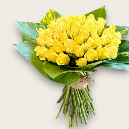 Солнечное великолепие