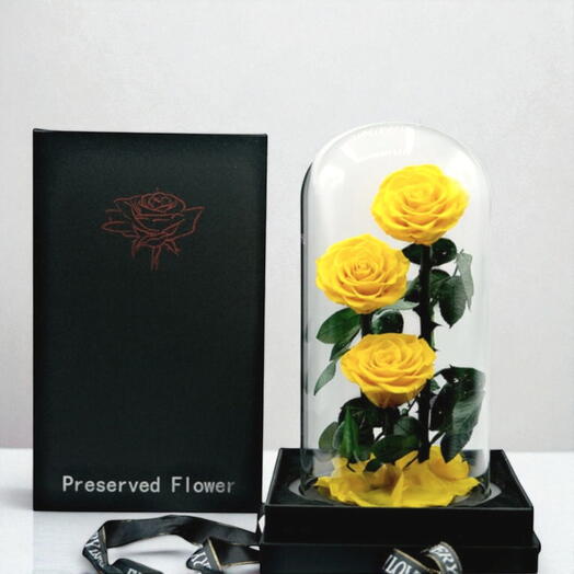 Yellow infinity roses in a glass dome - 3 Roses