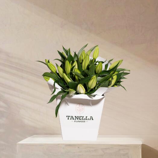 Лилия Мир Грёз