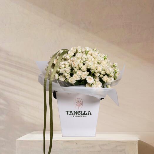 Жемчужное сияние