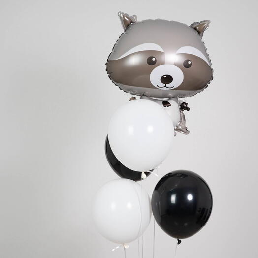 Racoon Воздушные шары