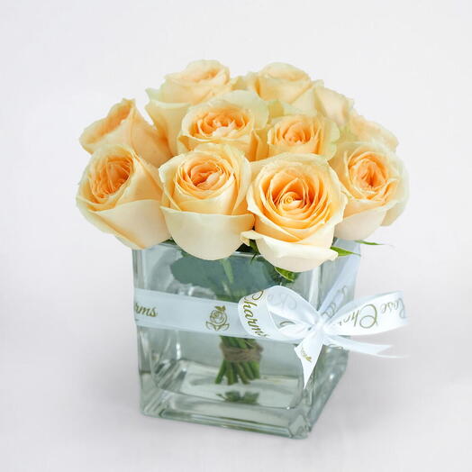 Warm Peach Rose Vase