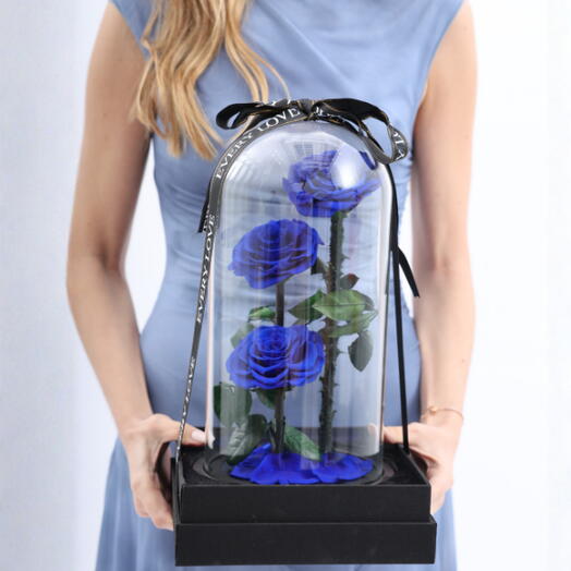Preserved Blue Roses
