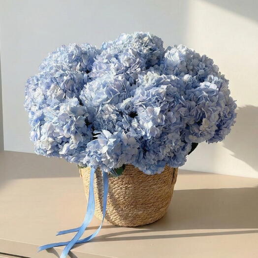 Гортензия Blue Mist