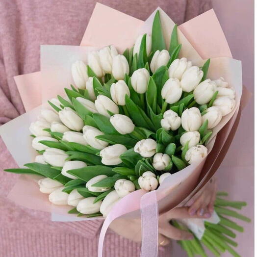 51 white tulips