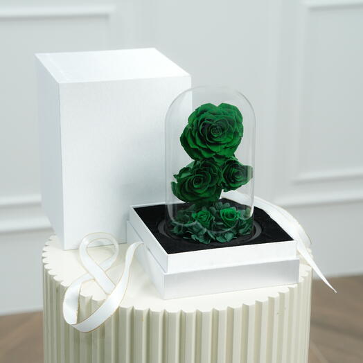 Fellora Premium Green Infinity Roses  7537