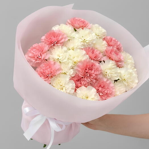Elegant Carnations