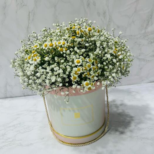 Box gypsom arrangement