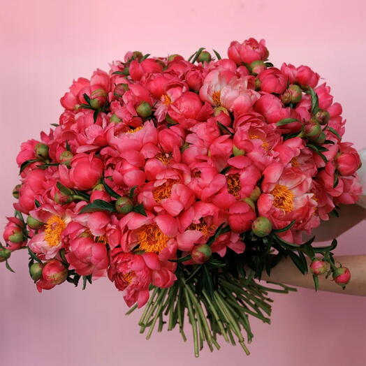 Corail: Bouquet Taille WOW de 100 Pivoines