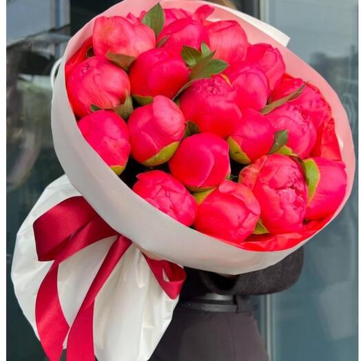 زهرة الفاوانيا الكرزية