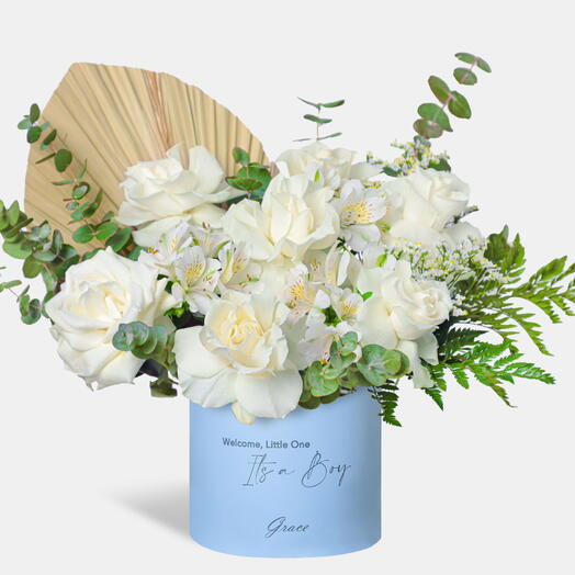 Bebé varón Mediano Blanco Reverencia